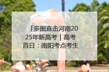 多图直击河南2025年新高考｜高考首日：南阳考点考生信心满满迎战