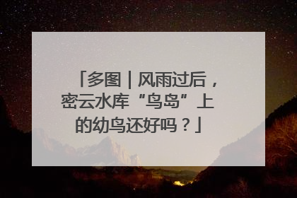 多图｜风雨过后，密云水库“鸟岛”上的幼鸟还好吗？