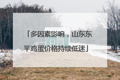 多因素影响，山东东平鸡蛋价格持续低迷