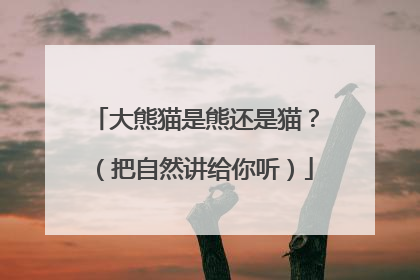 大熊猫是熊还是猫？（把自然讲给你听）