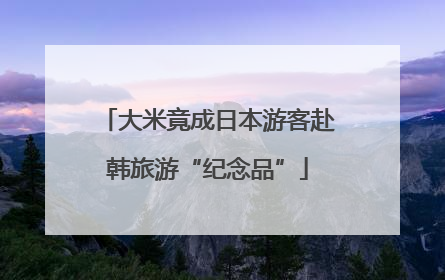 大米竟成日本游客赴韩旅游“纪念品”