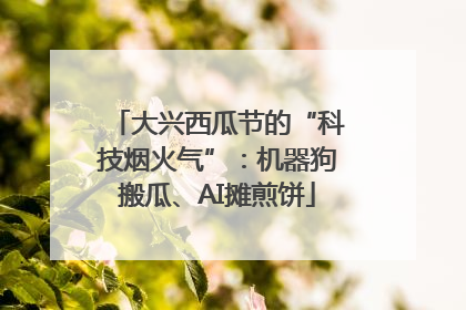 大兴西瓜节的“科技烟火气”：机器狗搬瓜、AI摊煎饼