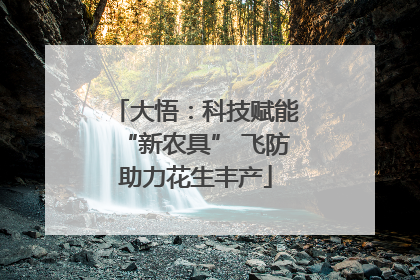 大悟：科技赋能“新农具” 飞防助力花生丰产