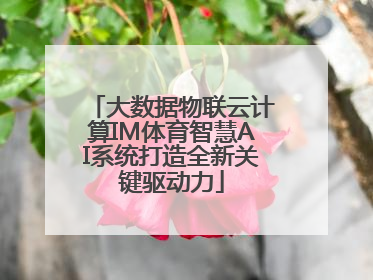 大数据物联云计算IM体育智慧AI系统打造全新关键驱动力