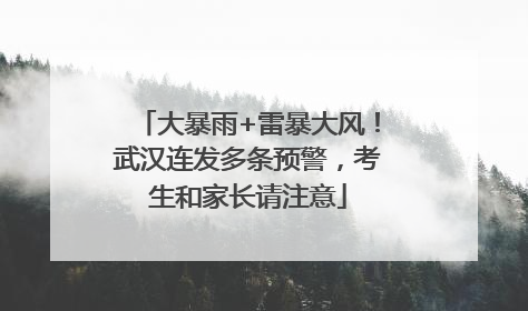 大暴雨+雷暴大风！武汉连发多条预警，考生和家长请注意