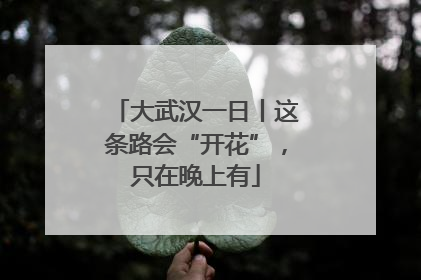 大武汉一日丨这条路会“开花”，只在晚上有