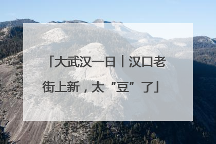 大武汉一日︱汉口老街上新，太“豆”了