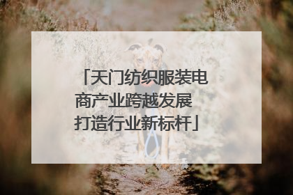 天门纺织服装电商产业跨越发展 打造行业新标杆