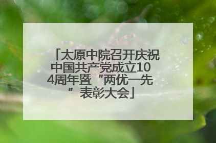 太原中院召开庆祝中国共产党成立104周年暨“两优一先”表彰大会