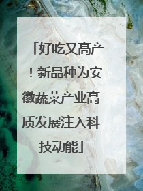 好吃又高产！新品种为安徽蔬菜产业高质发展注入科技动能