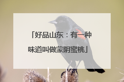 好品山东：有一种味道叫做蒙阴蜜桃