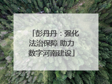 彭丹丹：强化法治保障 助力数字河南建设