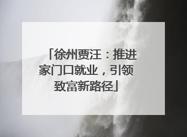 徐州贾汪：推进家门口就业，引领致富新路径