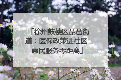 徐州鼓楼区琵琶街道：医保政策进社区 惠民服务零距离
