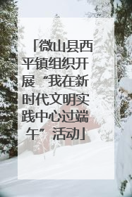 微山县西平镇组织开展“我在新时代文明实践中心过端午”活动