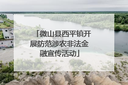 微山县西平镇开展防范涉农非法金融宣传活动