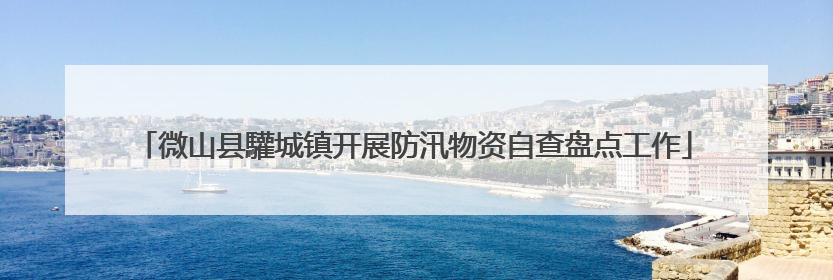 微山县驩城镇开展防汛物资自查盘点工作