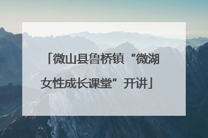 微山县鲁桥镇“微湖女性成长课堂”开讲
