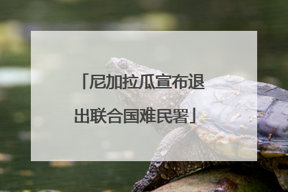 尼加拉瓜宣布退出联合国难民署