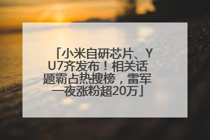 小米自研芯片、YU7齐发布！相关话题霸占热搜榜，雷军一夜涨粉超20万