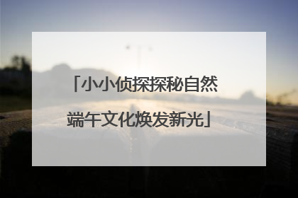 小小侦探探秘自然 端午文化焕发新光