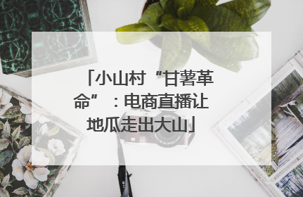 小山村“甘薯革命”：电商直播让地瓜走出大山