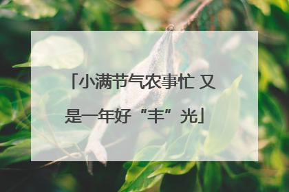 小满节气农事忙 又是一年好“丰”光