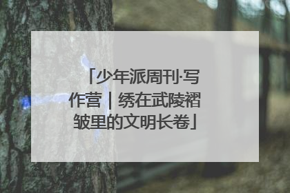 少年派周刊·写作营｜绣在武陵褶皱里的文明长卷
