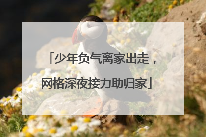 少年负气离家出走，网格深夜接力助归家