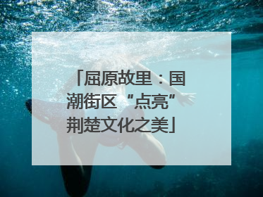 屈原故里：国潮街区“点亮”荆楚文化之美