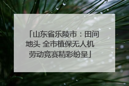 山东省乐陵市：田间地头 全市植保无人机劳动竞赛精彩纷呈