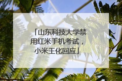 山东科技大学禁用红米手机考试，小米王化回应