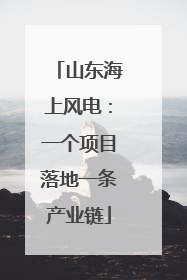 山东海上风电：一个项目落地一条产业链