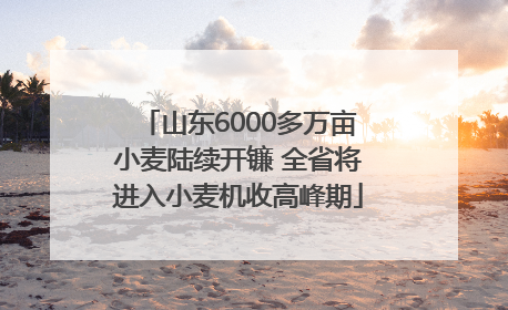山东6000多万亩小麦陆续开镰 全省将进入小麦机收高峰期