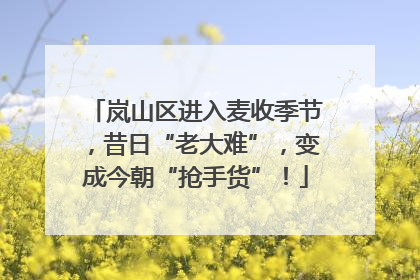 岚山区进入麦收季节，昔日“老大难”，变成今朝“抢手货”！