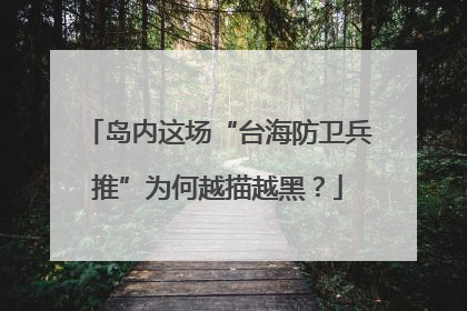 岛内这场“台海防卫兵推”为何越描越黑？
