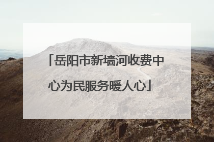 岳阳市新墙河收费中心为民服务暖人心