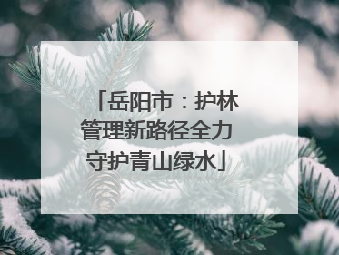 岳阳市：护林管理新路径全力守护青山绿水