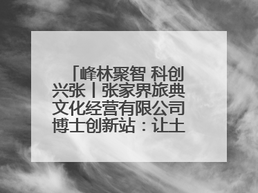 峰林聚智 科创兴张丨张家界旅典文化经营有限公司博士创新站：让土家织锦“智”造出非遗新传奇