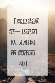 嵩县省派第一书记团队 无惧风雨 闻汛而动