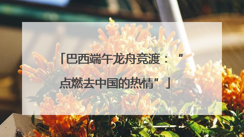 巴西端午龙舟竞渡：“点燃去中国的热情”