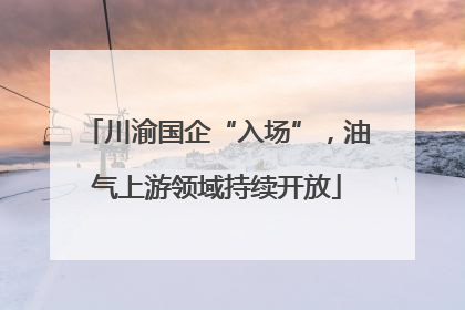 川渝国企“入场”，油气上游领域持续开放