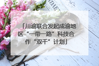 川渝联合发起成渝地区“一带一路”科技合作“双千”计划