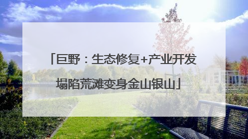 巨野：生态修复+产业开发 塌陷荒滩变身金山银山