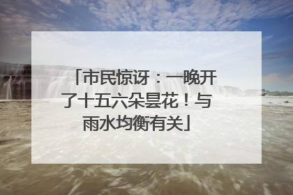 市民惊讶：一晚开了十五六朵昙花！与雨水均衡有关