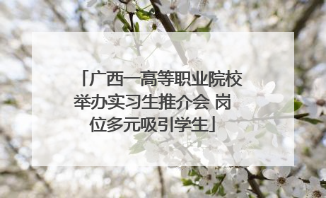 广西一高等职业院校举办实习生推介会 岗位多元吸引学生