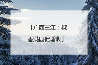 广西三江：椒香满园促增收