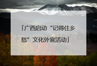 广西启动“记得住乡愁”文化外宣活动
