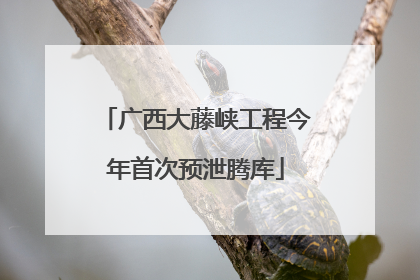 广西大藤峡工程今年首次预泄腾库