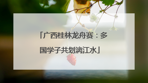 广西桂林龙舟赛：多国学子共划漓江水